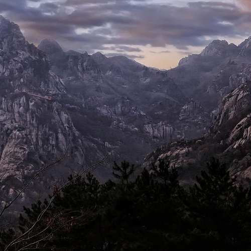 데이트폭력의 비극: 경찰의 부실한 피해자 보호의 단면