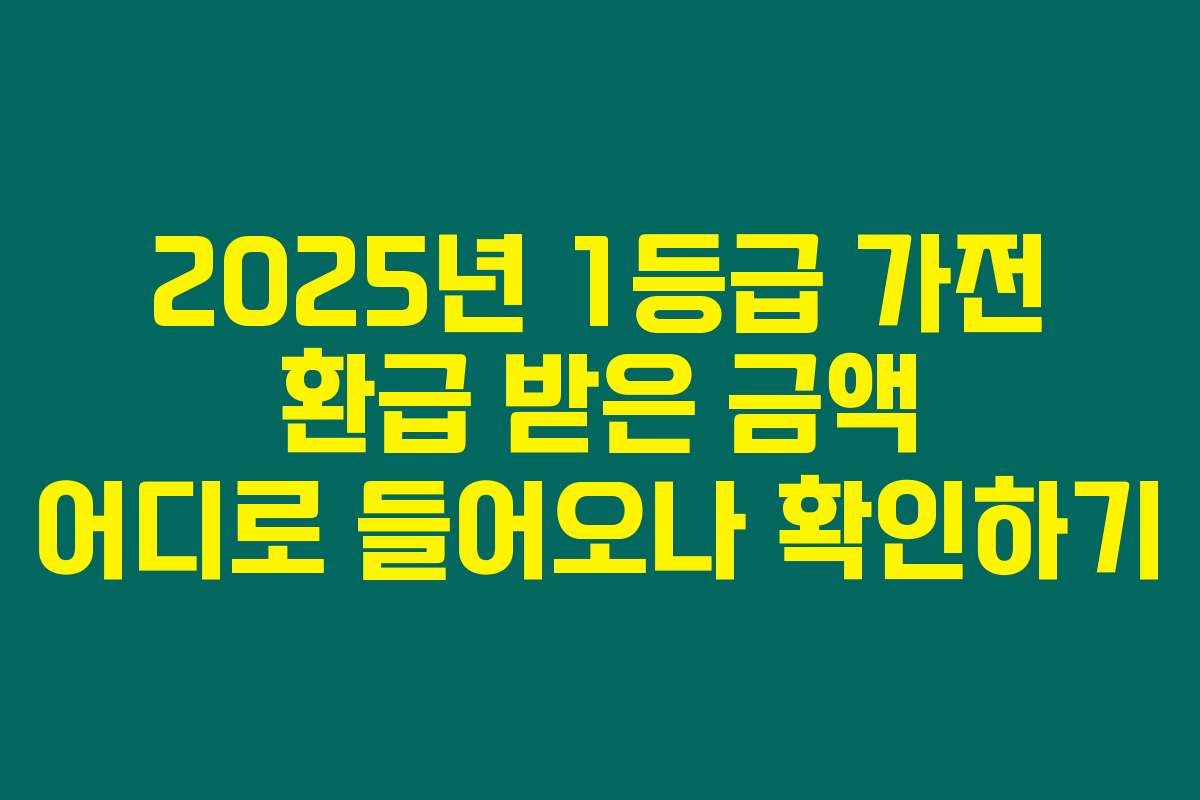 2025년 1등급 가전 환급 받은 금액 어디로 들어오나 확인하기