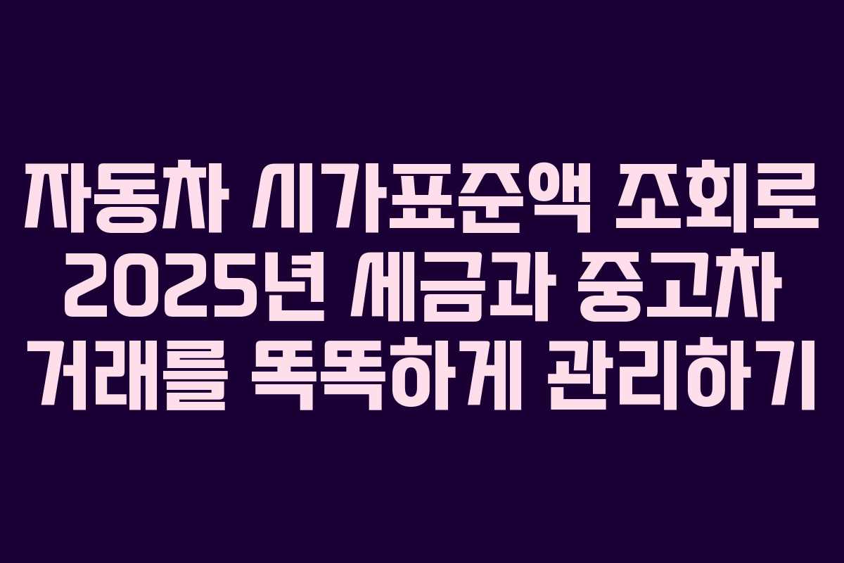 자동차 시가표준액 조회로 2025년 세금과 중고차 거래를 똑똑하게 관리하기