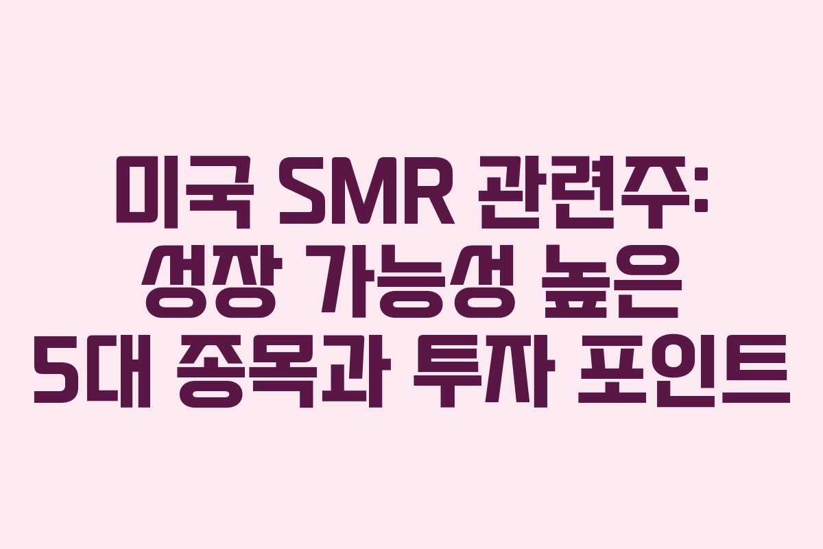 미국 SMR 관련주: 성장 가능성 높은 5대 종목과 투자 포인트