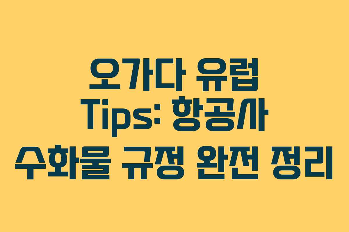 오가다 유럽 Tips: 항공사 수화물 규정 완전 정리
