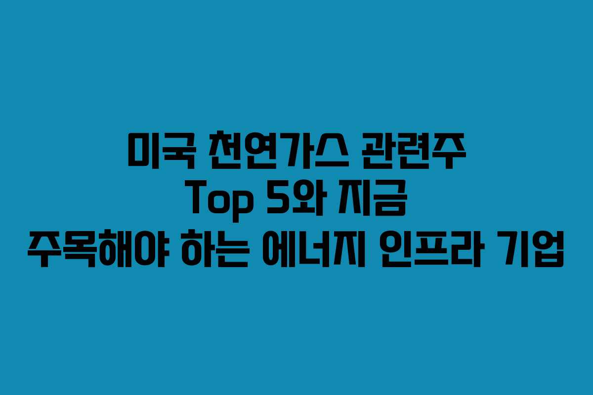 미국 천연가스 관련주 Top 5와 지금 주목해야 하는 에너지 인프라 기업
