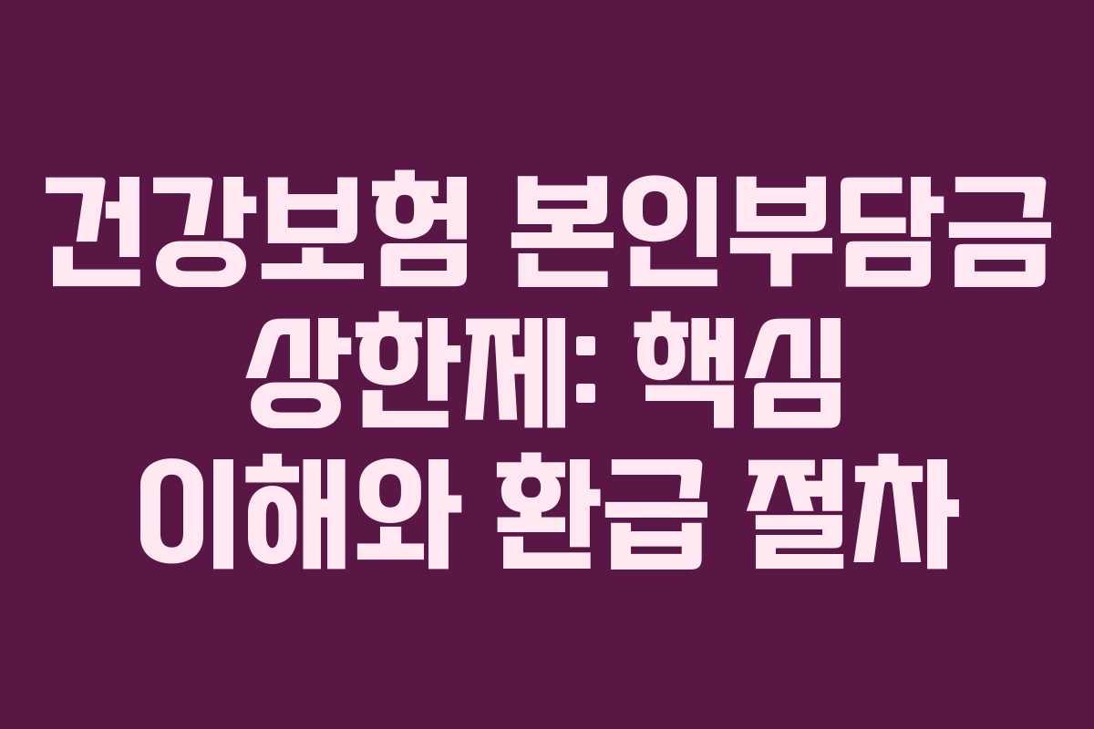 건강보험 본인부담금 상한제: 핵심 이해와 환급 절차