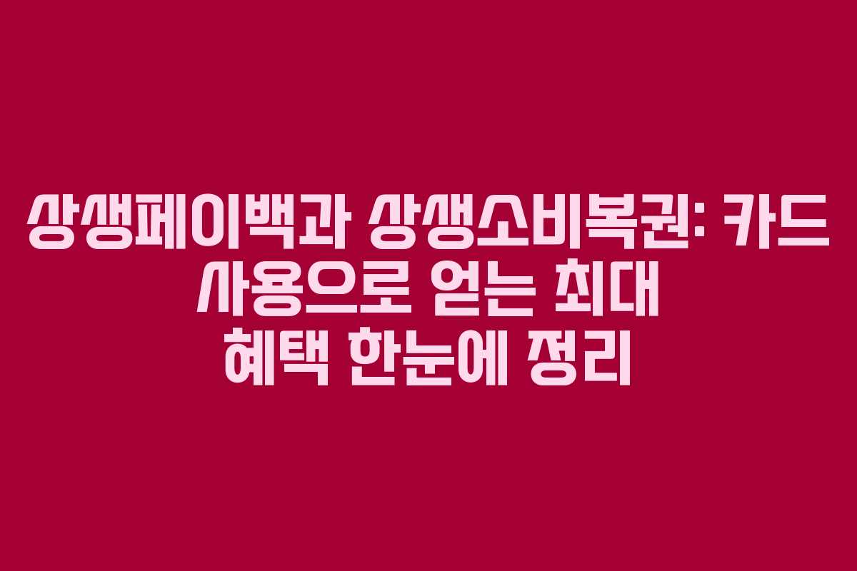 상생페이백과 상생소비복권: 카드 사용으로 얻는 최대 혜택 한눈에 정리