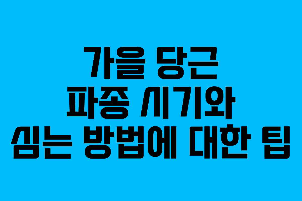 가을 당근 파종 시기와 심는 방법에 대한 팁