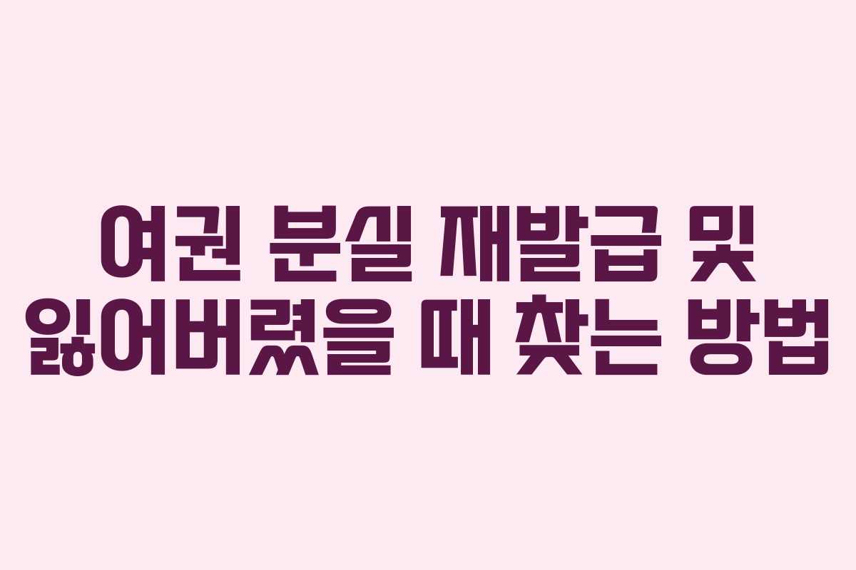 여권 분실 재발급 및 잃어버렸을 때 찾는 방법