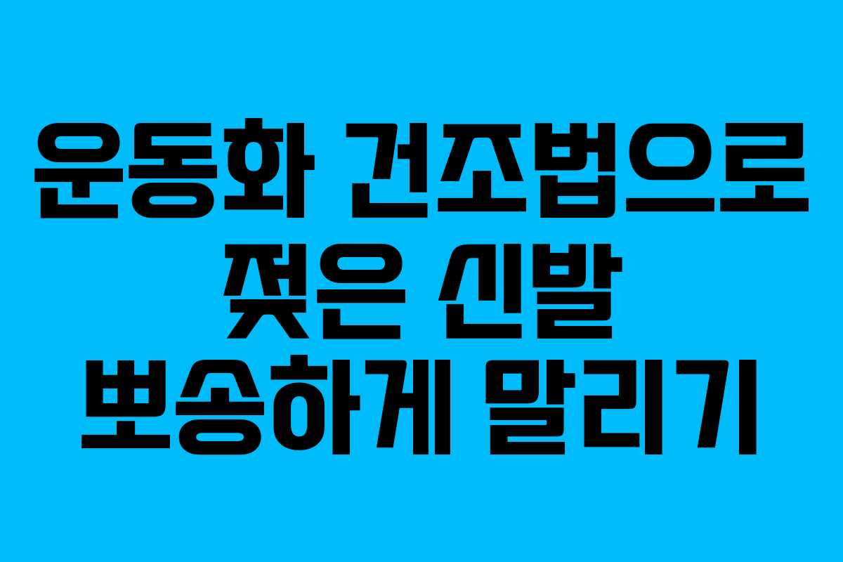 운동화 건조법으로 젖은 신발 뽀송하게 말리기