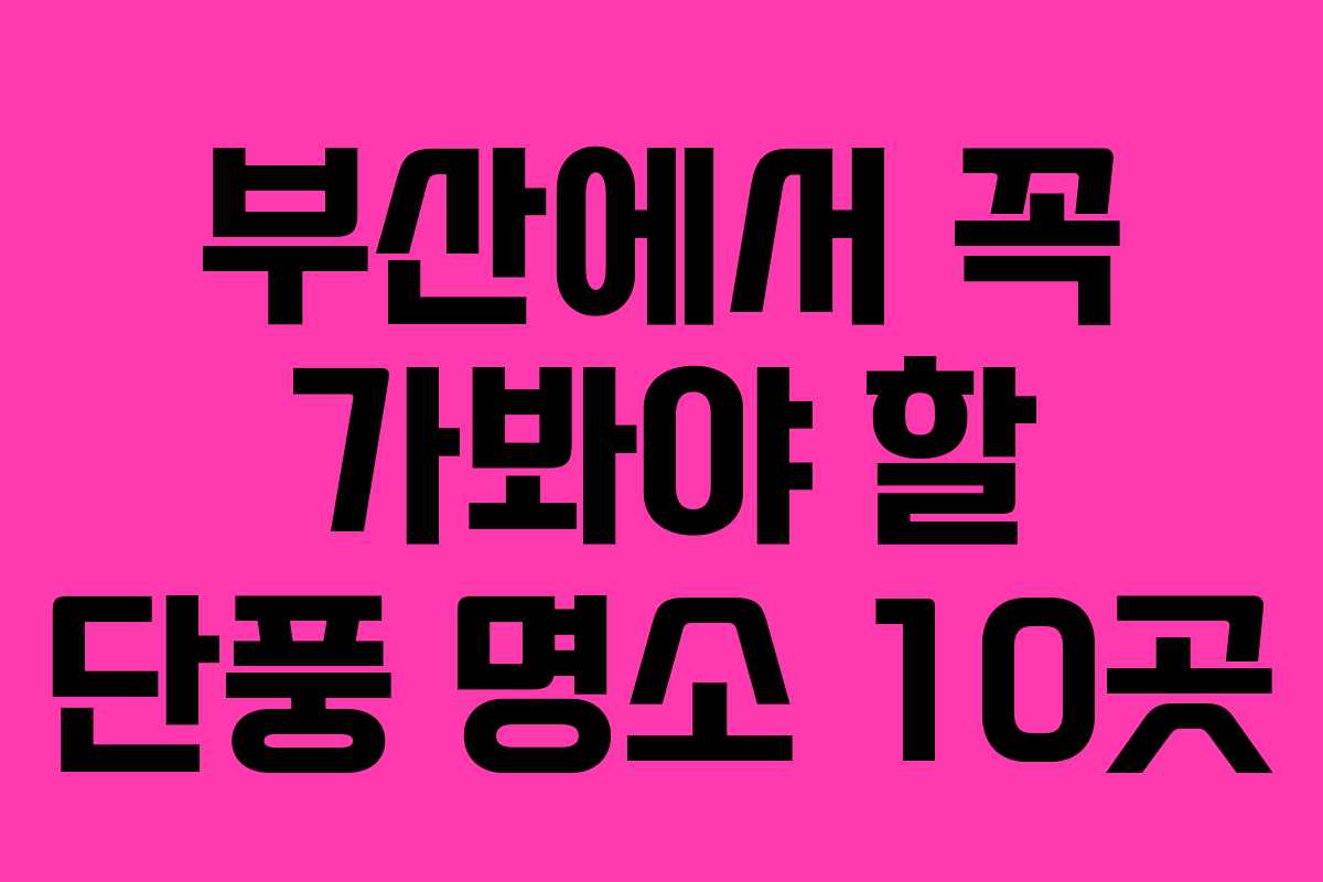 부산에서 꼭 가봐야 할 단풍 명소 10곳