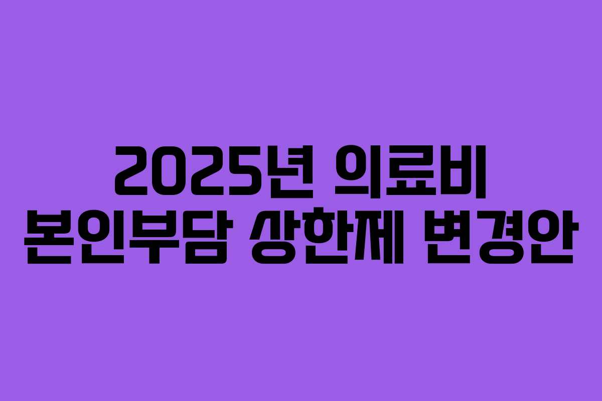 2025년 의료비 본인부담 상한제 변경안