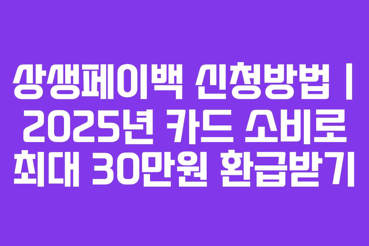 상생페이백 신청방법 | 2025년 카드 소비로 최대 30만원 환급받기