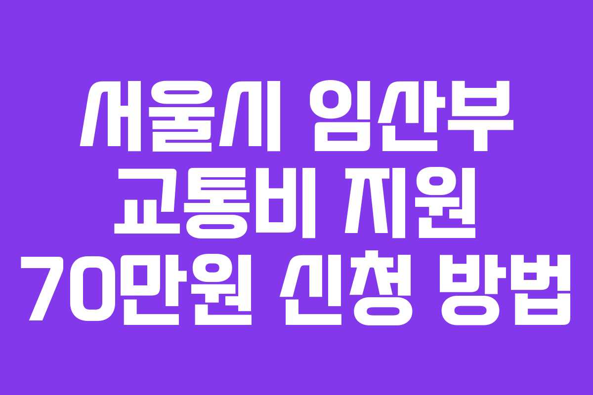 서울시 임산부 교통비 지원 70만원 신청 방법