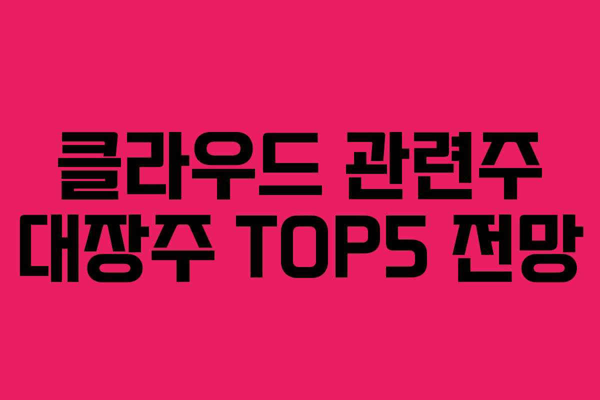 클라우드 관련주 대장주 TOP5 전망