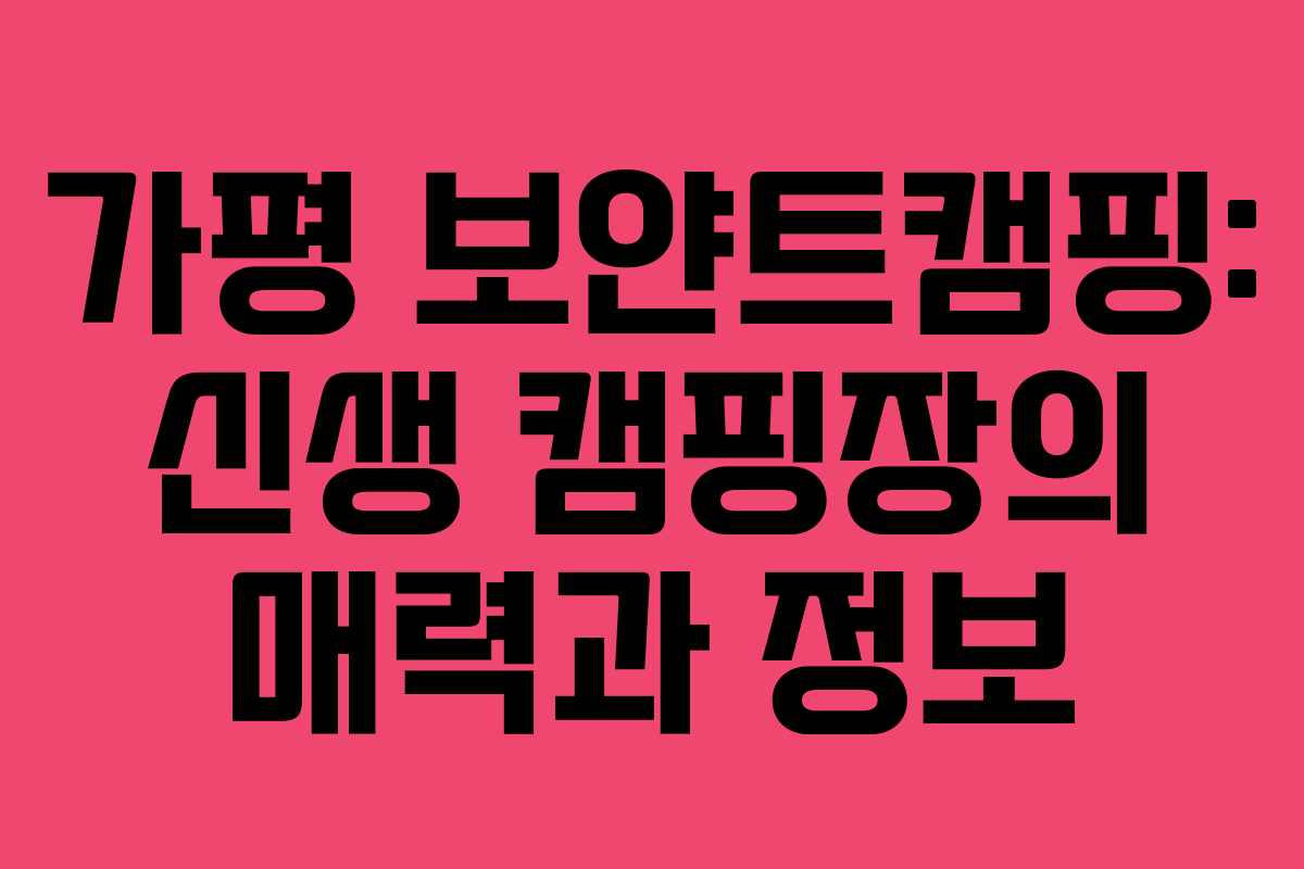 가평 보얀트캠핑: 신생 캠핑장의 매력과 정보