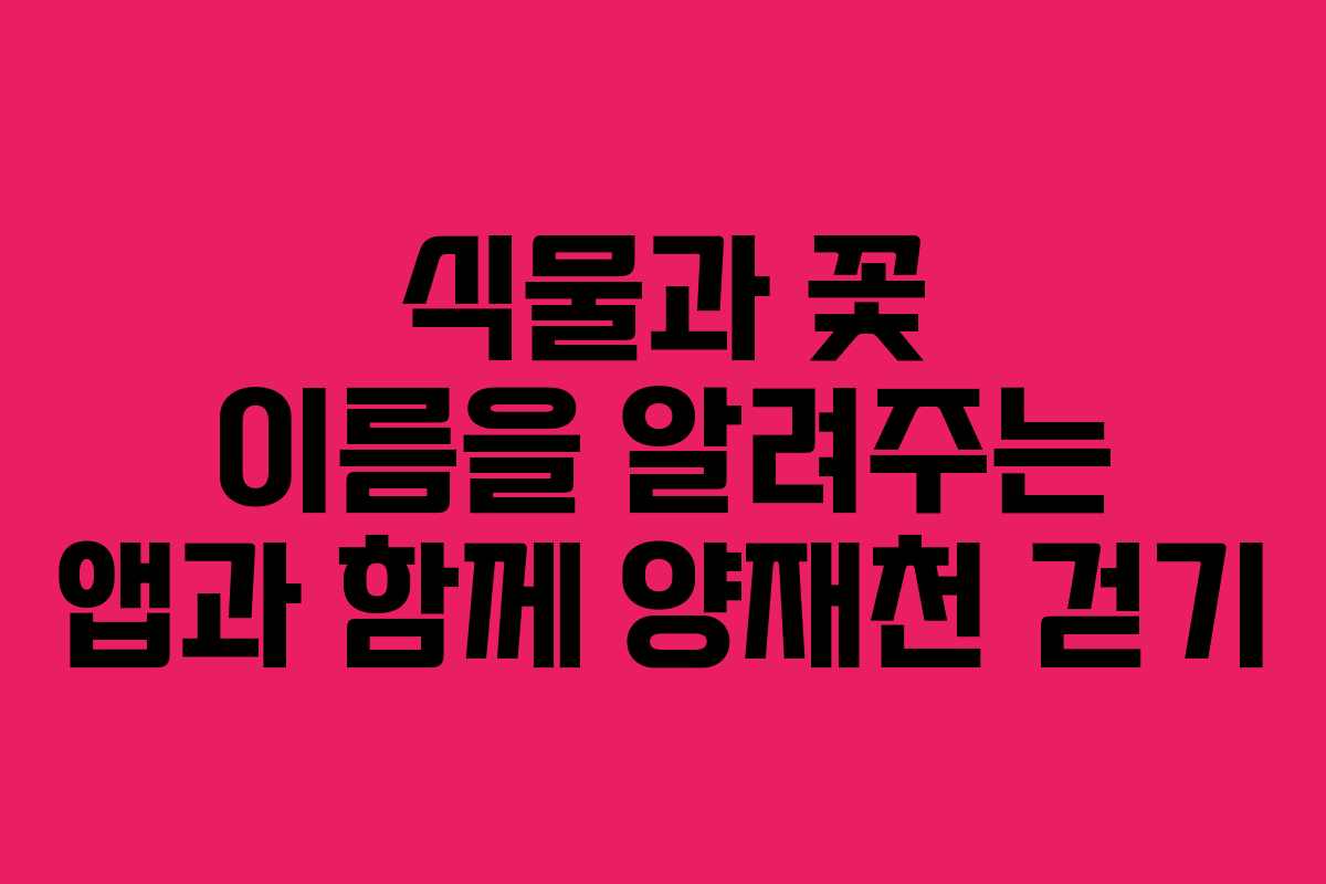 식물과 꽃 이름을 알려주는 앱과 함께 양재천 걷기