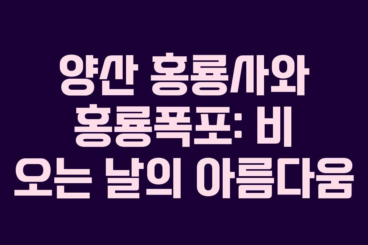 양산 홍룡사와 홍룡폭포: 비 오는 날의 아름다움