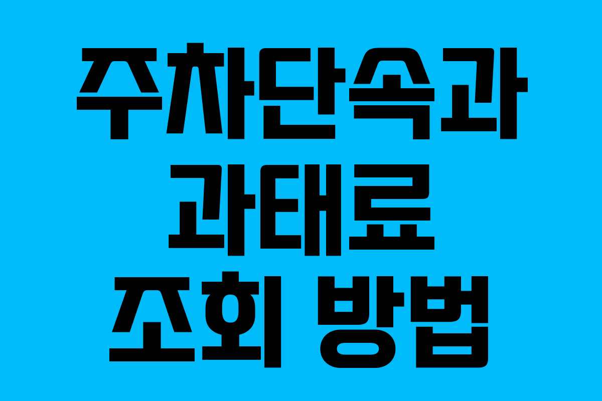 주차단속과 과태료 조회 방법