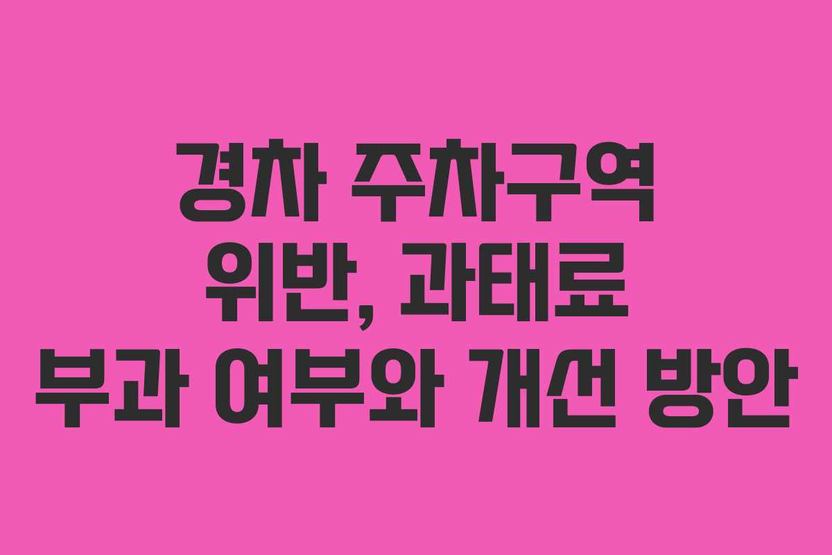경차 주차구역 위반, 과태료 부과 여부와 개선 방안