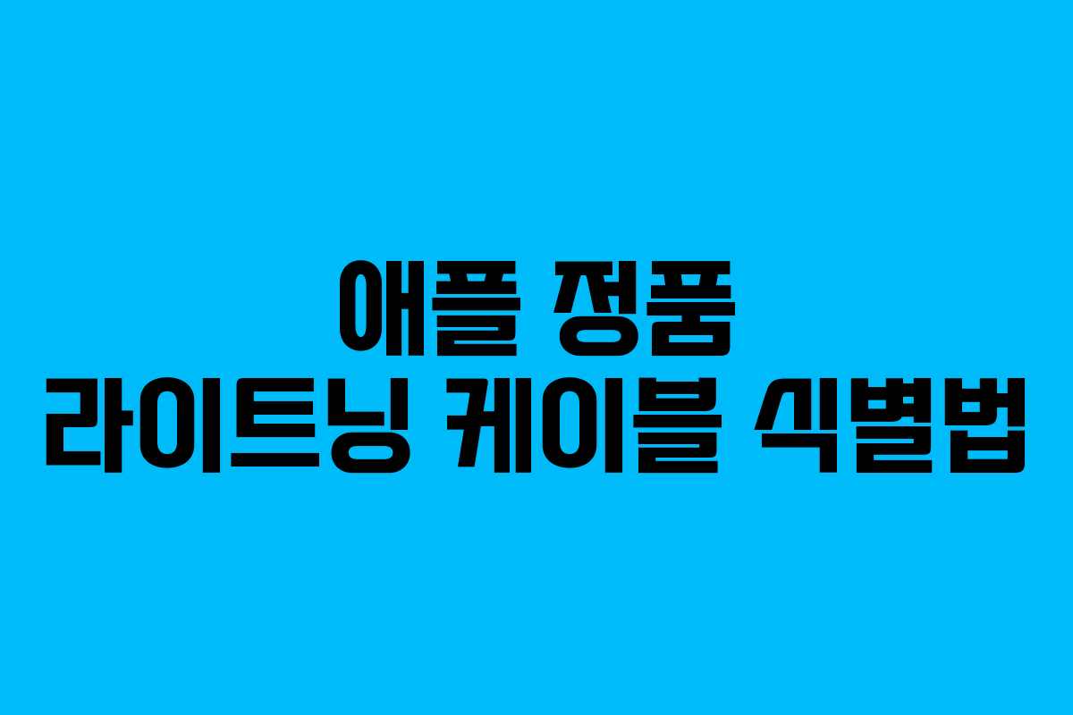 애플 정품 라이트닝 케이블 식별법