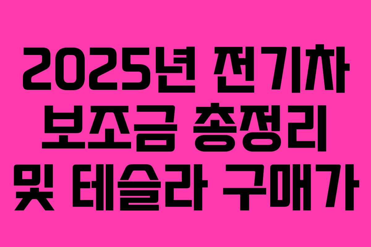 2025년 전기차 보조금 총정리 및 테슬라 구매가