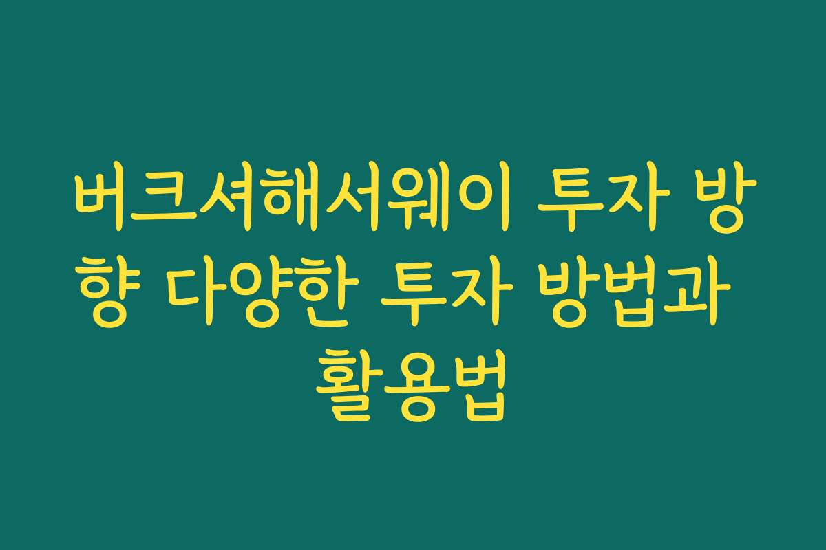 버크셔해서웨이 투자 방향 다양한 투자 방법과 활용법