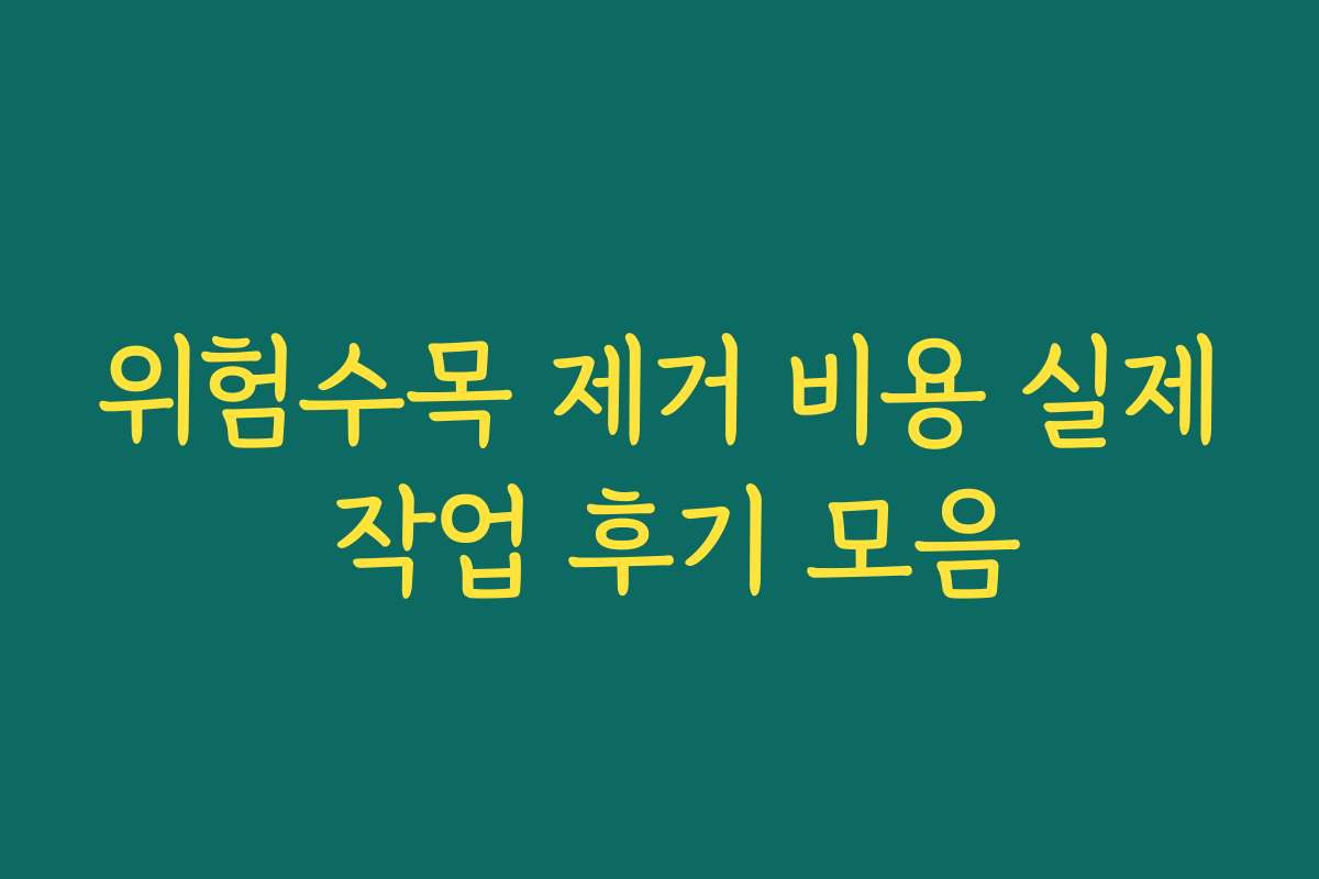 위험수목 제거 비용 실제 작업 후기 모음