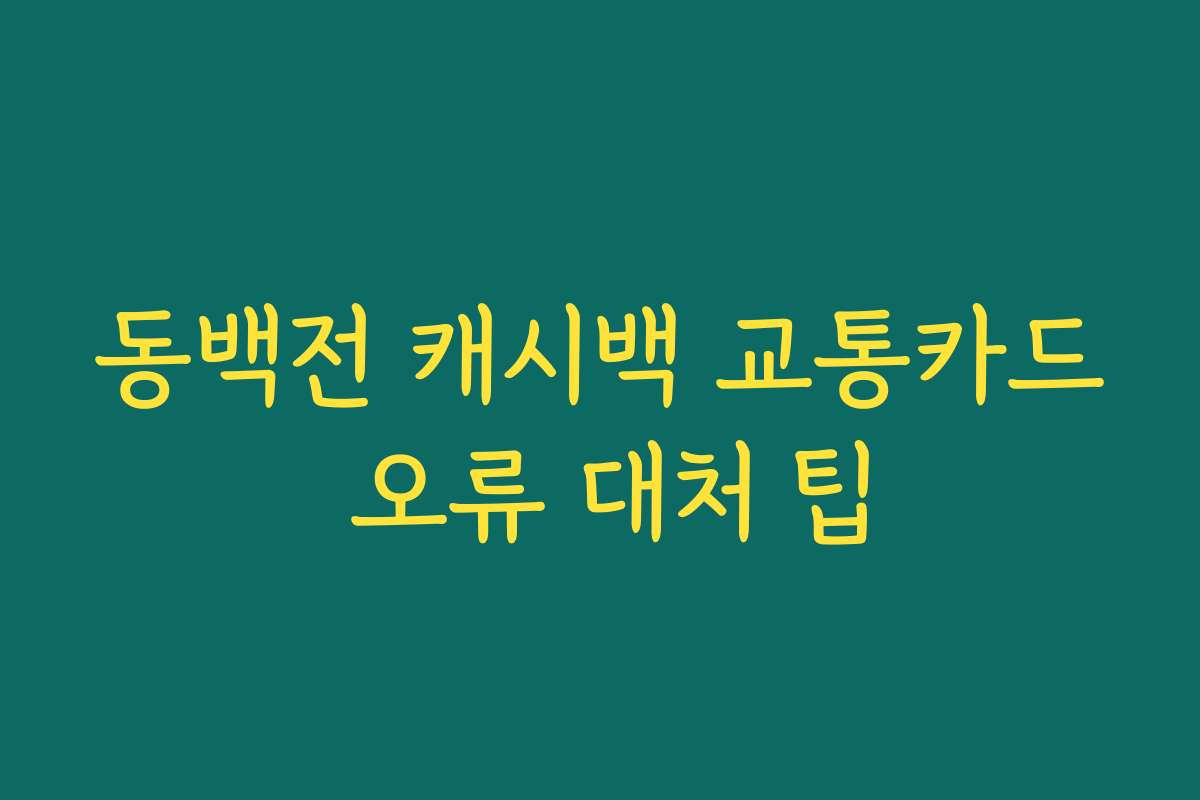 동백전 캐시백 교통카드 오류 대처 팁 동백전 캐시백 교통카드 오류 대처 팁