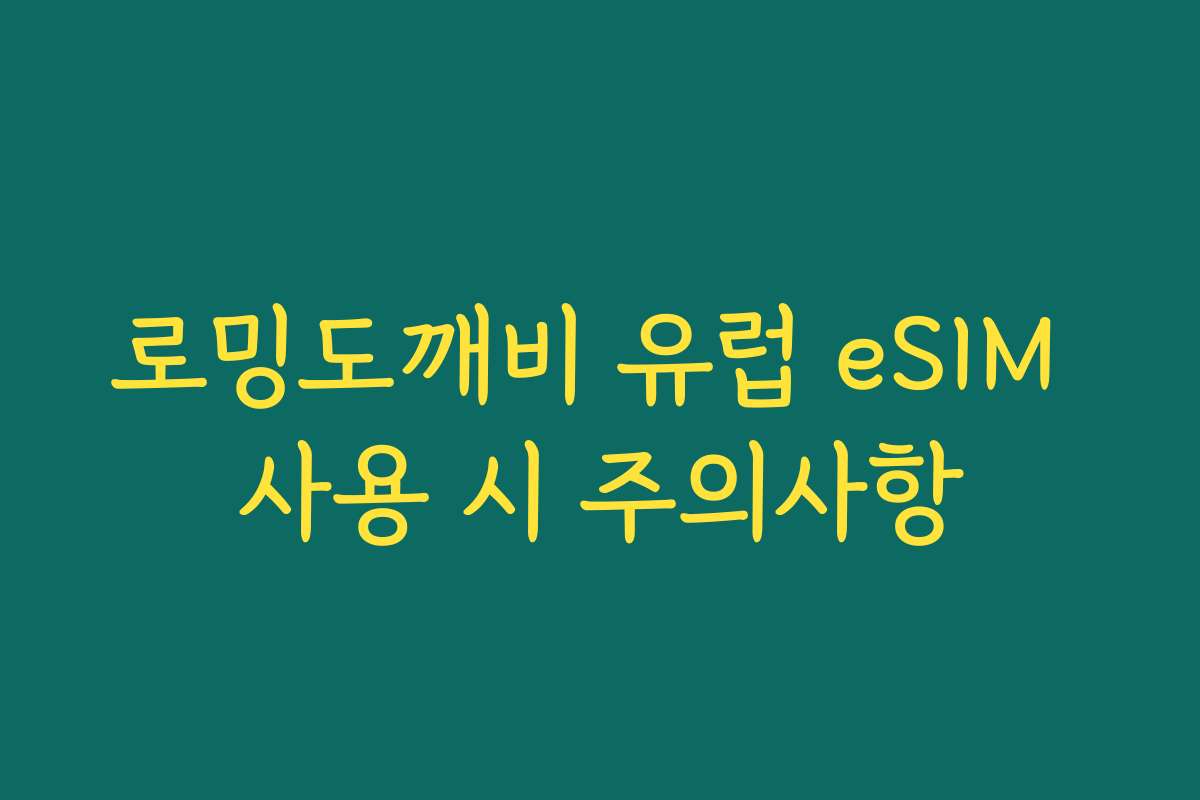 로밍도깨비 유럽 eSIM 사용 시 주의사항