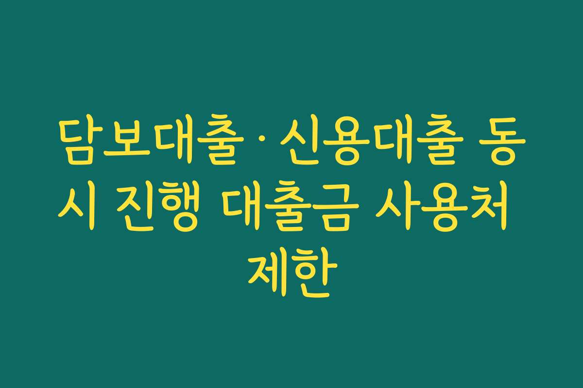 담보대출·신용대출 동시 진행 대출금 사용처 제한