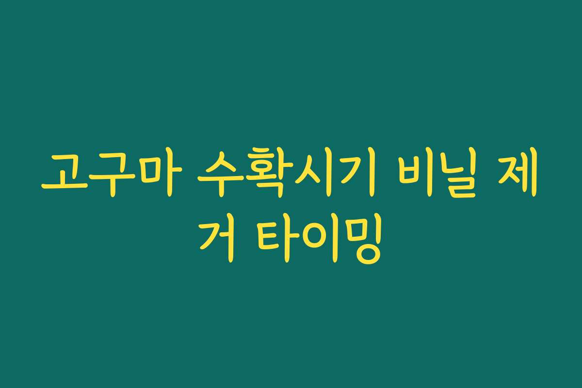 고구마 수확시기 비닐 제거 타이밍