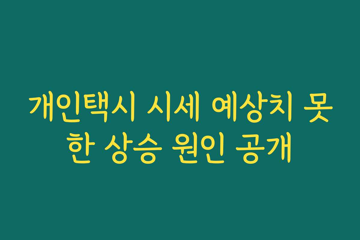 개인택시 시세 예상치 못한 상승 원인 공개 개인택시 시세 예상치 못한 상승 원인 공개