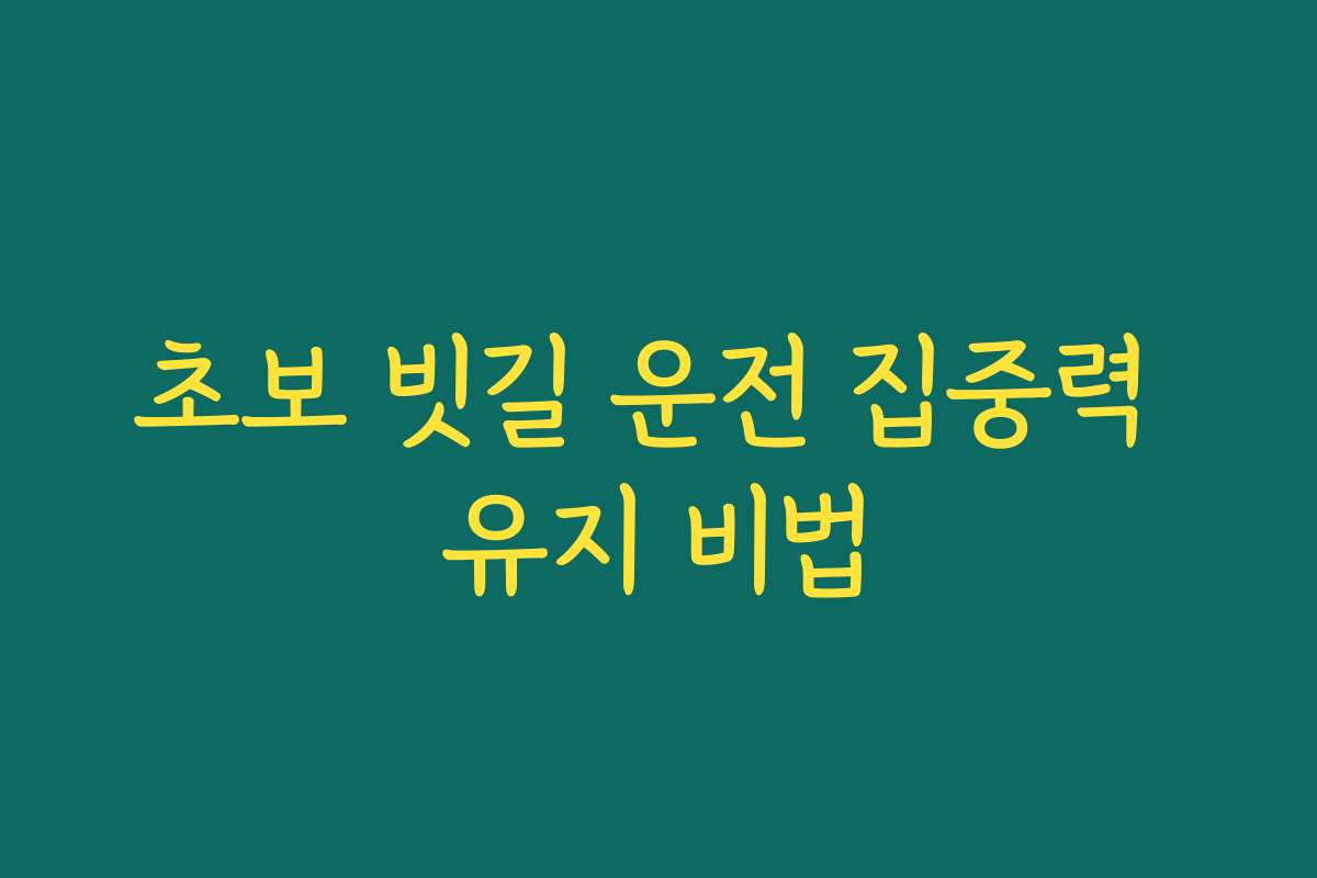 초보 빗길 운전 집중력 유지 비법