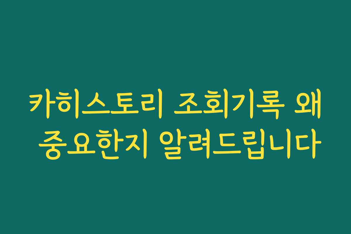 카히스토리 조회기록 왜 중요한지 알려드립니다 카히스토리 조회기록 왜 중요한지 알려드립니다