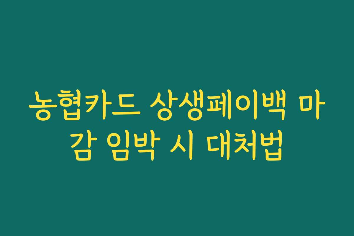 농협카드 상생페이백 마감 임박 시 대처법 농협카드 상생페이백 마감 임박 시 대처법