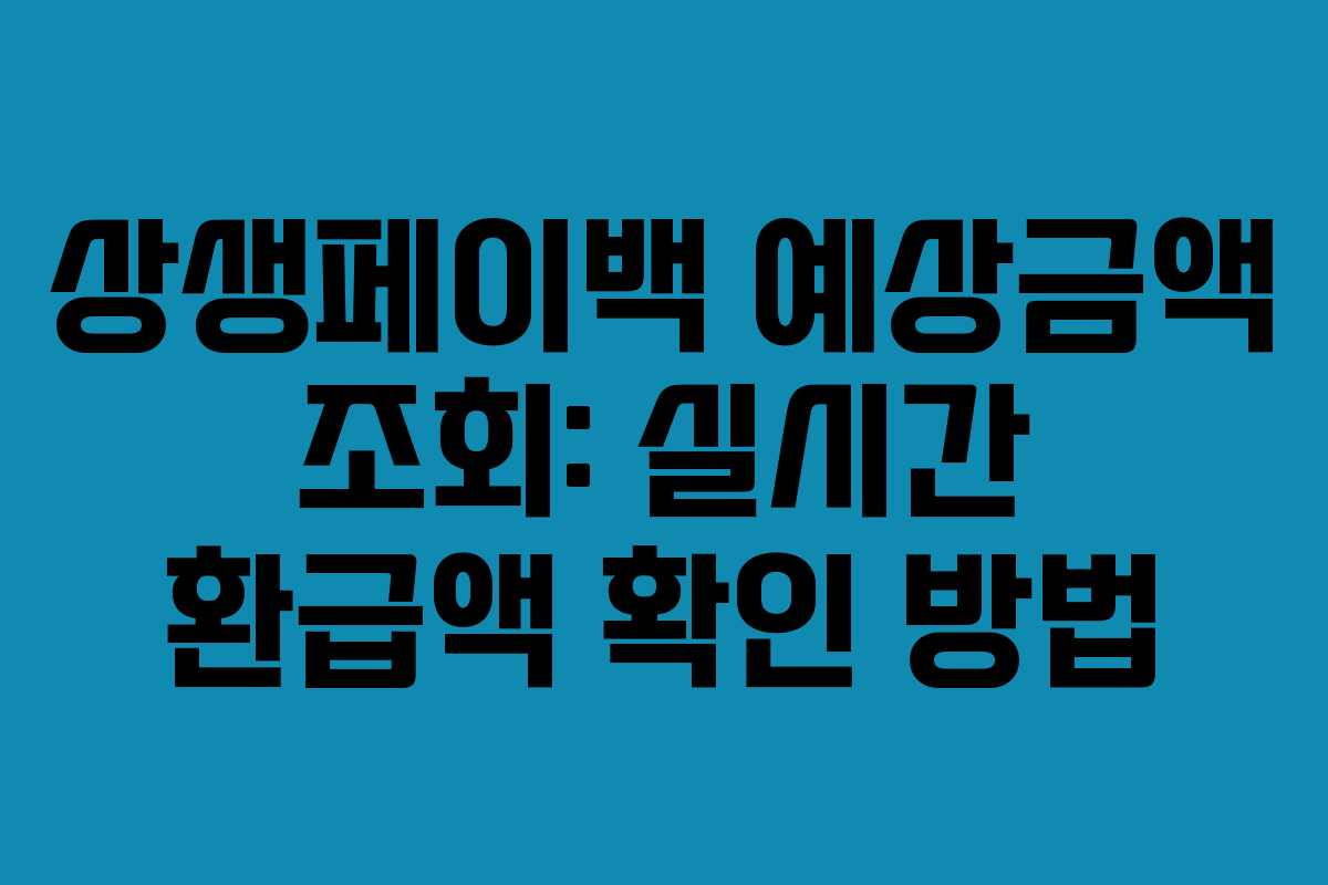 상생페이백 예상금액 조회: 실시간 환급액 확인 방법