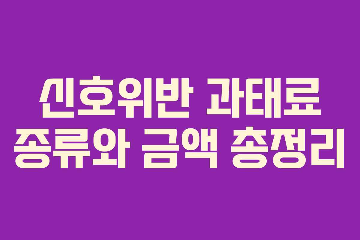 신호위반 과태료 종류와 금액 총정리