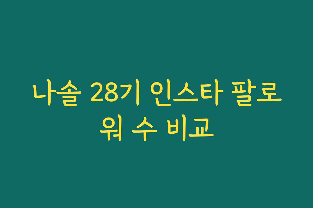 나솔 28기 인스타 팔로워 수 비교 나솔 28기 인스타 팔로워 수 비교