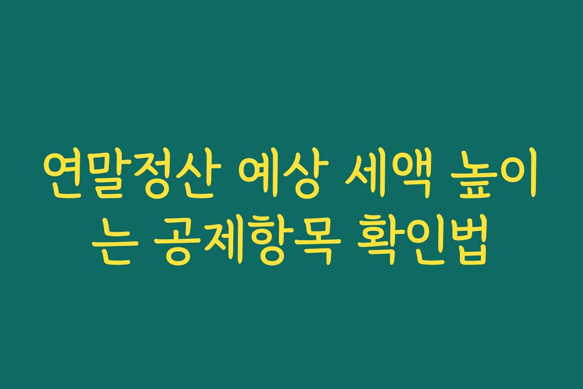 연말정산 예상 세액 높이는 공제항목 확인법