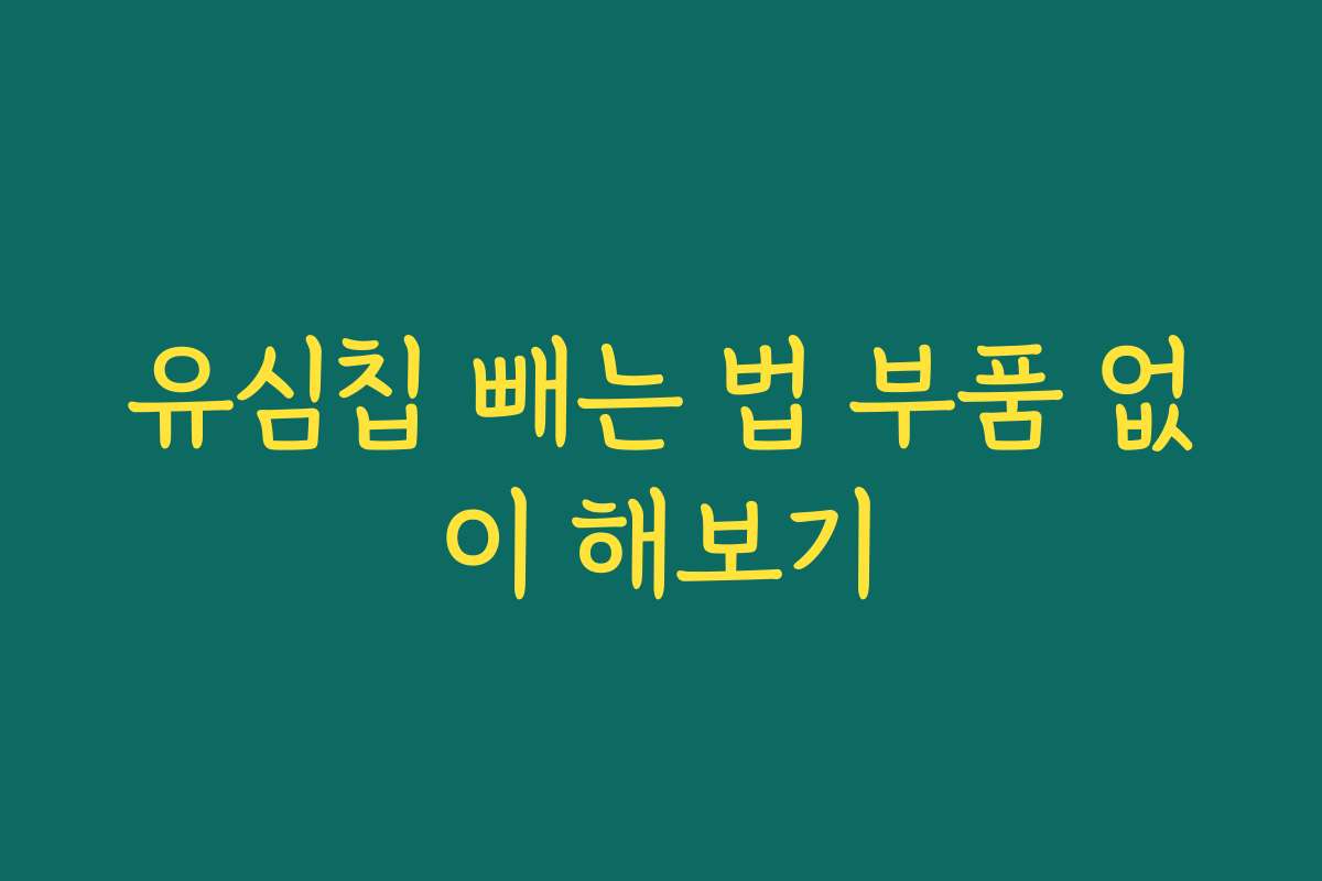 유심칩 빼는 법 부품 없이 해보기