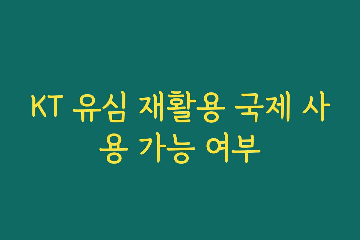 KT 유심 재활용 국제 사용 가능 여부