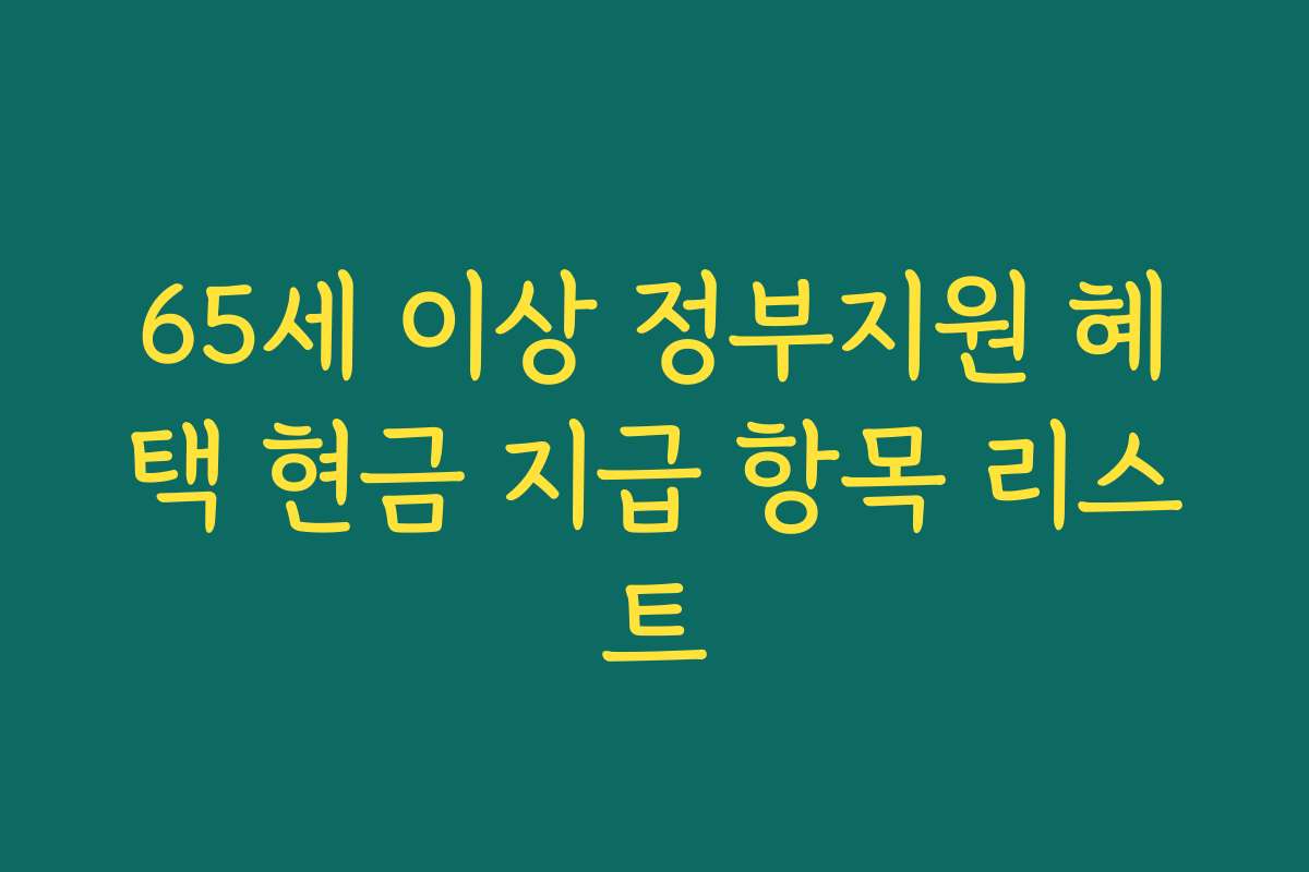 65세 이상 정부지원 혜택 현금 지급 항목 리스트