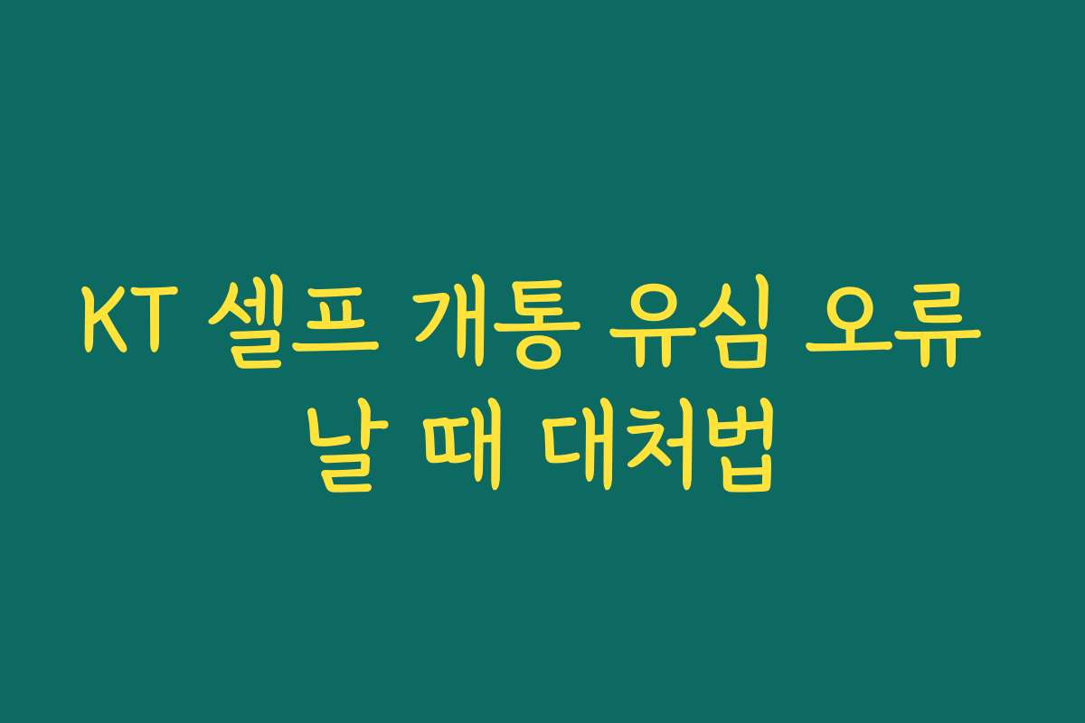 KT 셀프 개통 유심 오류 날 때 대처법