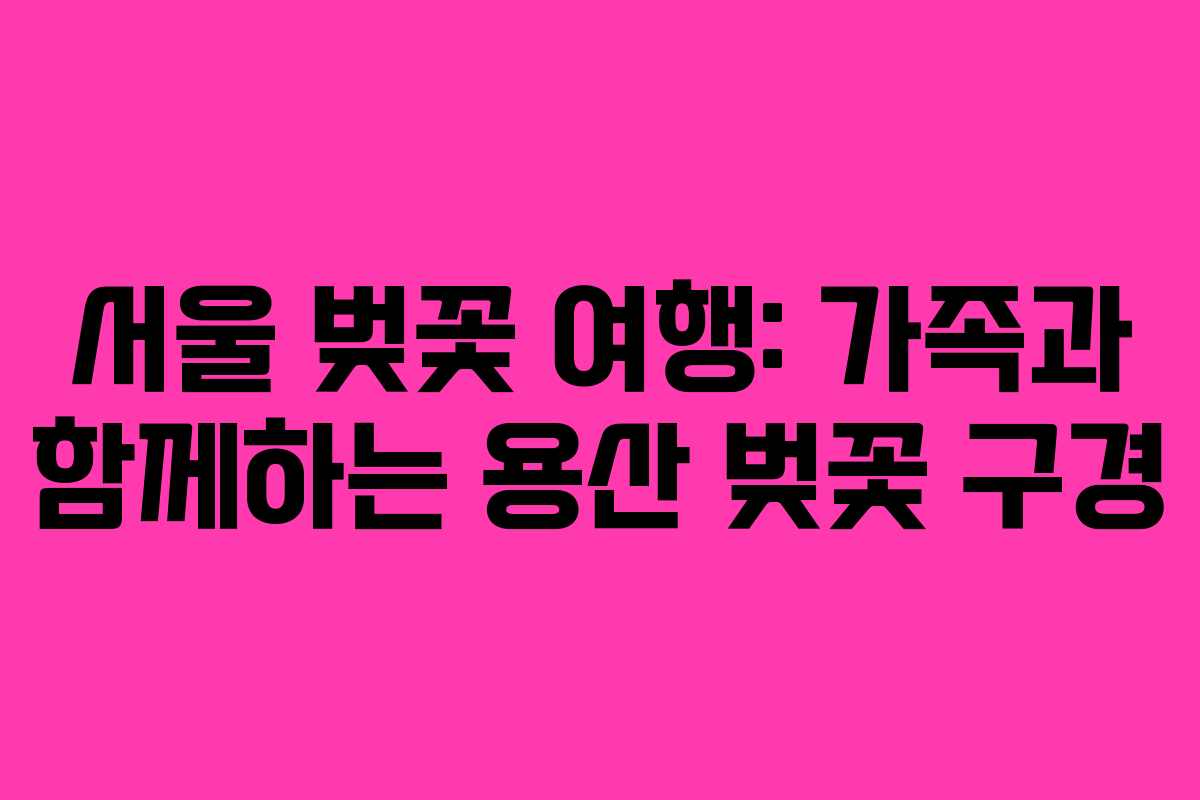 서울 벚꽃 여행: 가족과 함께하는 용산 벚꽃 구경