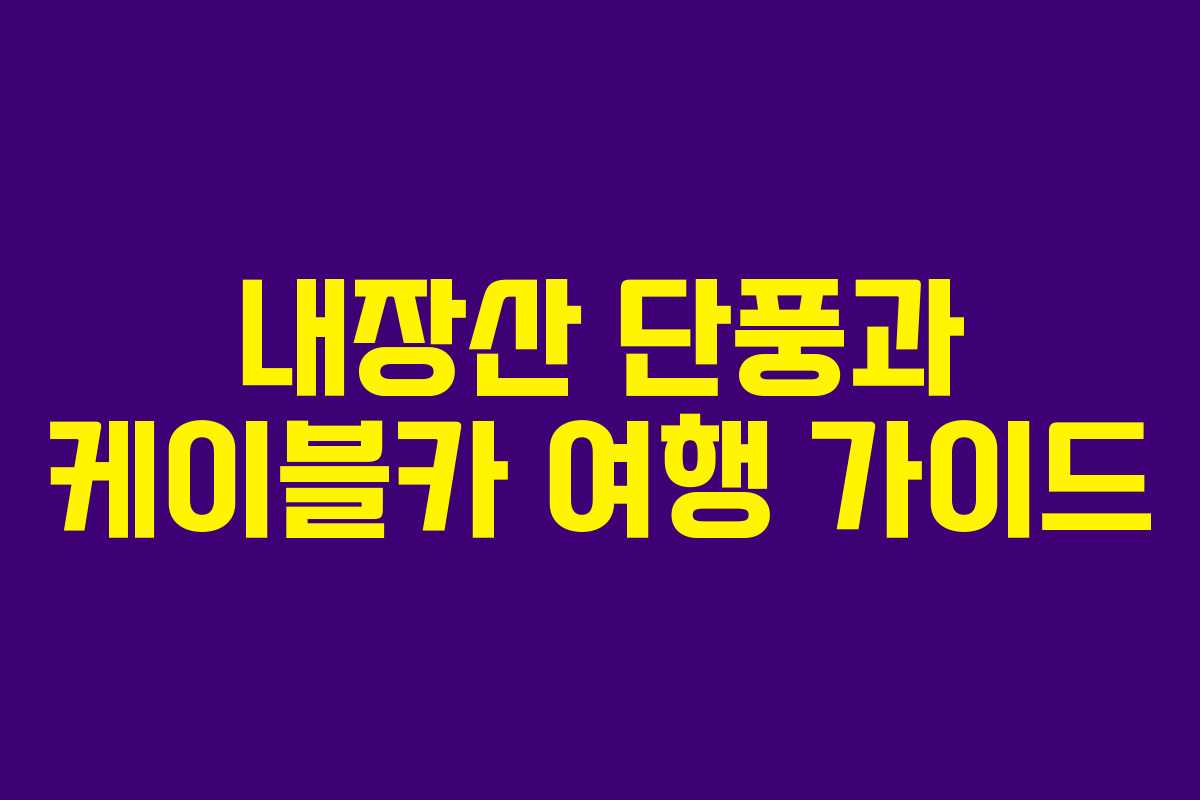 내장산 단풍과 케이블카 여행 가이드