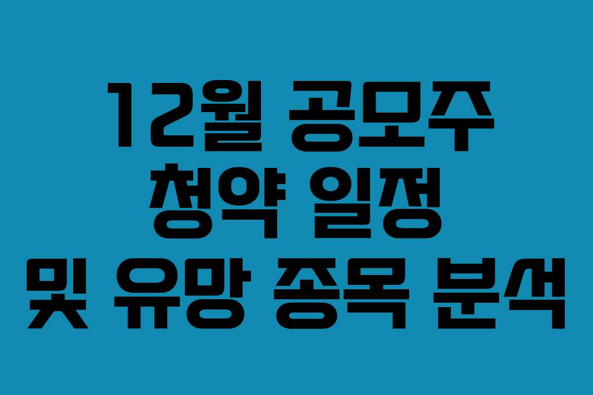 12월 공모주 청약 일정 및 유망 종목 분석