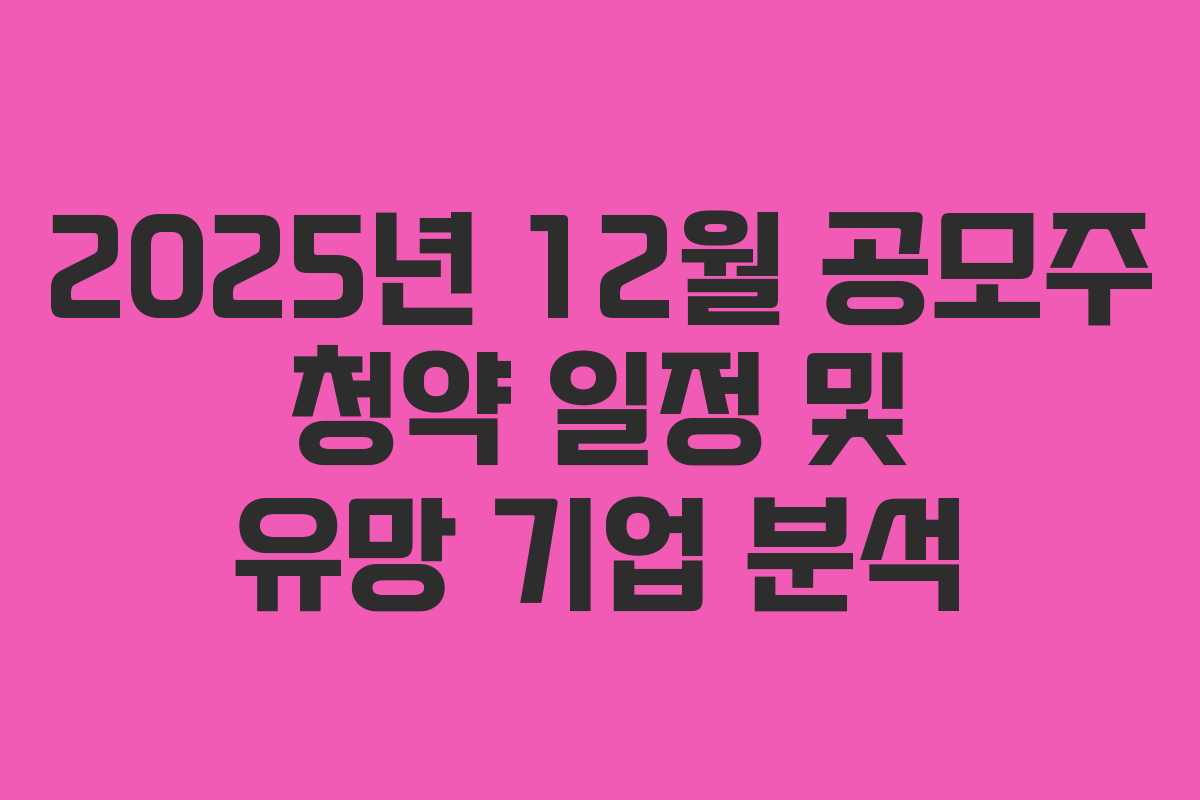 2025년 12월 공모주 청약 일정 및 유망 기업 분석