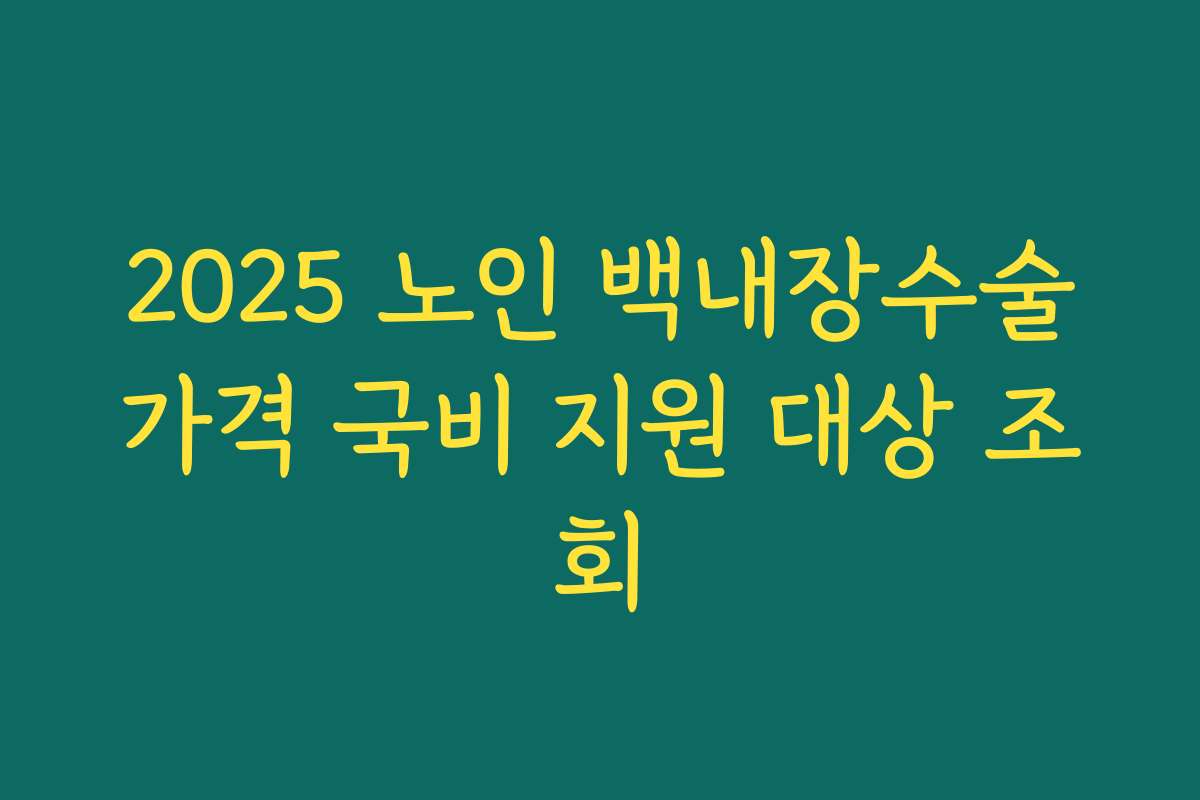 2025 노인 백내장수술가격 국비 지원 대상 조회