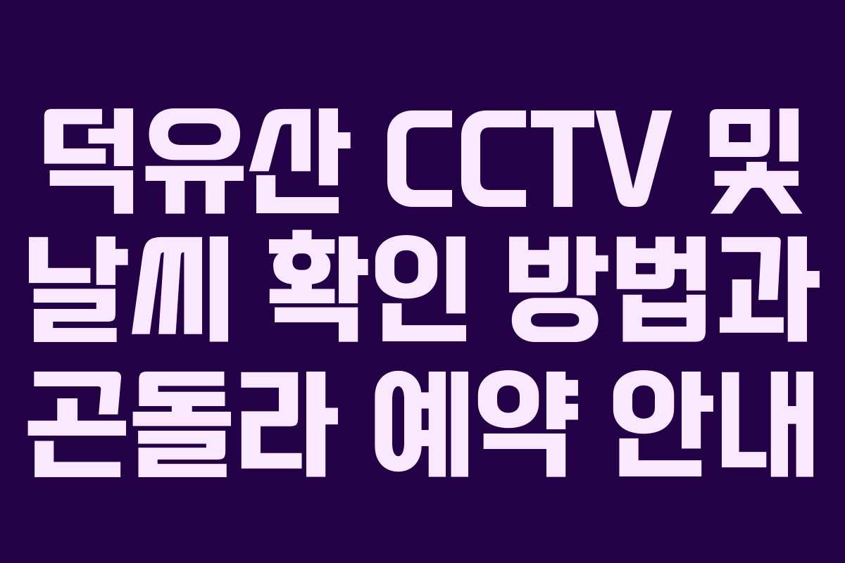 덕유산 CCTV 및 날씨 확인 방법과 곤돌라 예약 안내
