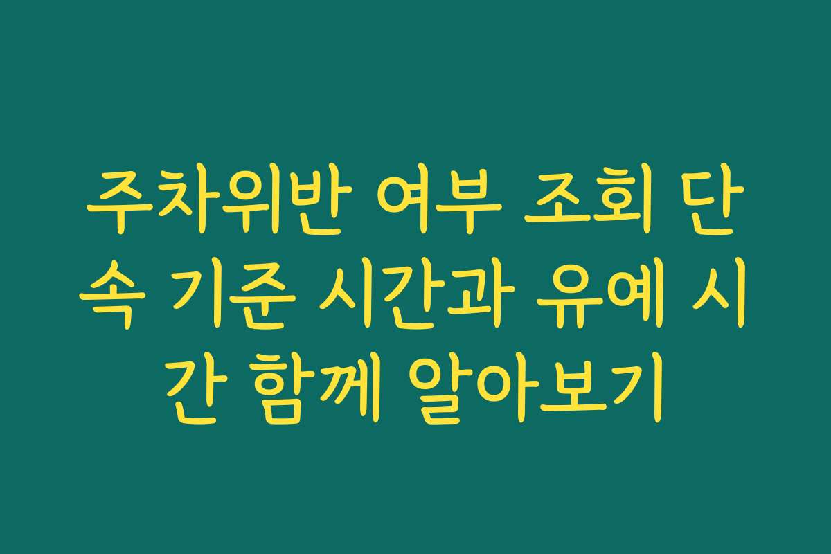 주차위반 여부 조회 단속 기준 시간과 유예 시간 함께 알아보기