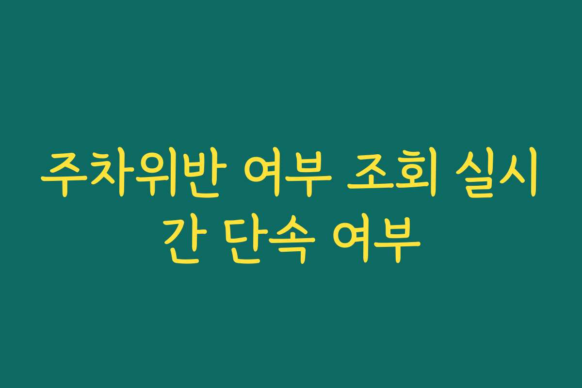 주차위반 여부 조회 실시간 단속 여부