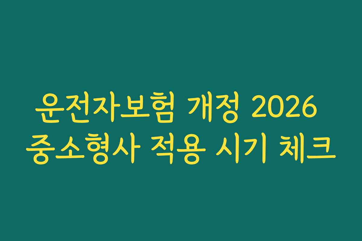 운전자보험 개정 2026 중소형사 적용 시기 체크